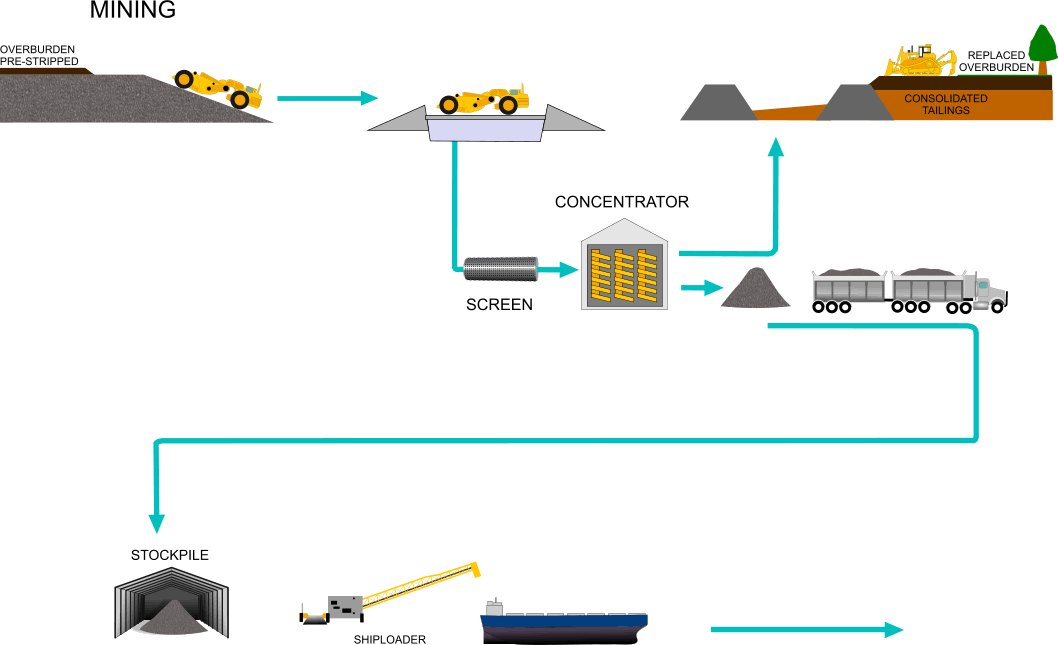 bulk-transport-flow-chart2